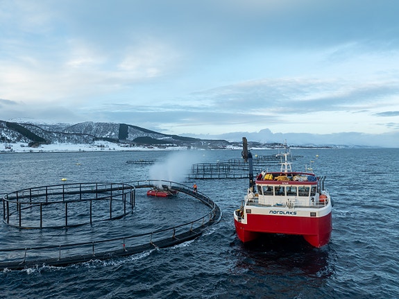 Bilde 3 av 4 i jobbannonse-galleriet