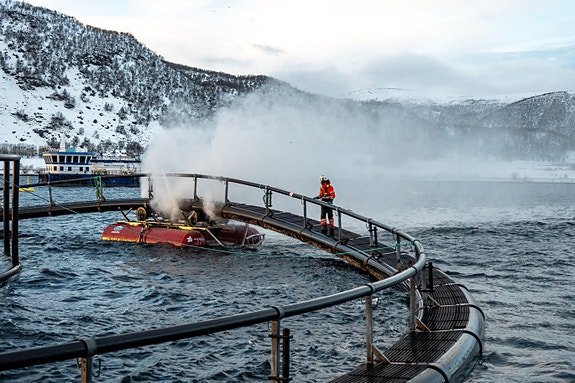 Bilde 4 av 4 i jobbannonse-galleriet