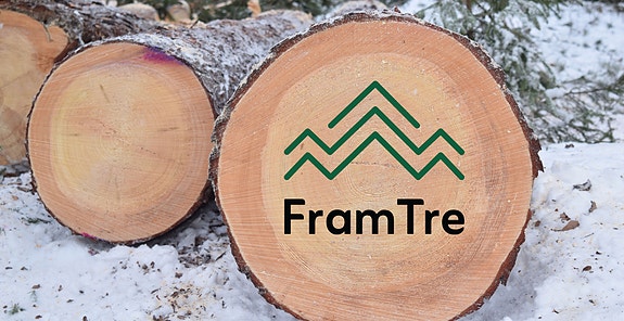 Bilde 1 av 10 i jobbannonse-galleriet