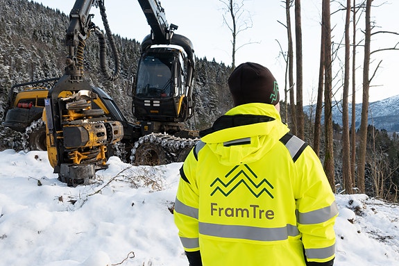 Bilde 10 av 10 i jobbannonse-galleriet