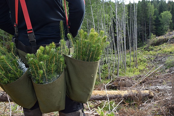Bilde 5 av 10 i jobbannonse-galleriet