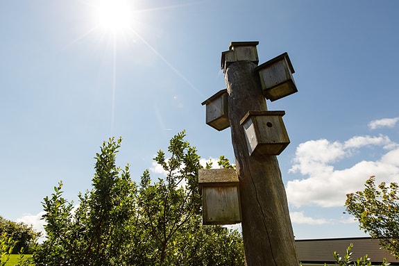 Bilde 8 av 8 i jobbannonse-galleriet