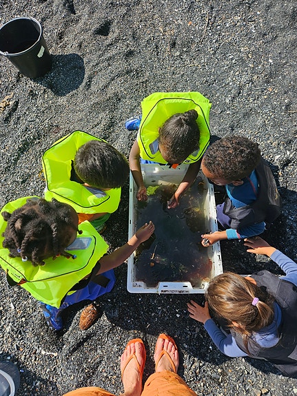 Bilde 1 av 6 i jobbannonse-galleriet