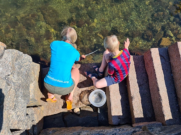 Bilde 5 av 6 i jobbannonse-galleriet