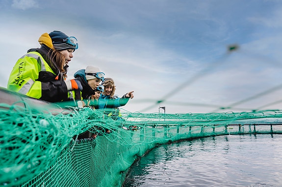 Bilde 1 av 1 i jobbannonse-galleriet