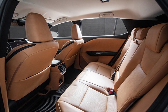 Lexus RZ450e 14 of 19