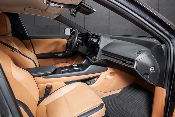 Lexus RZ450e 16 of 19