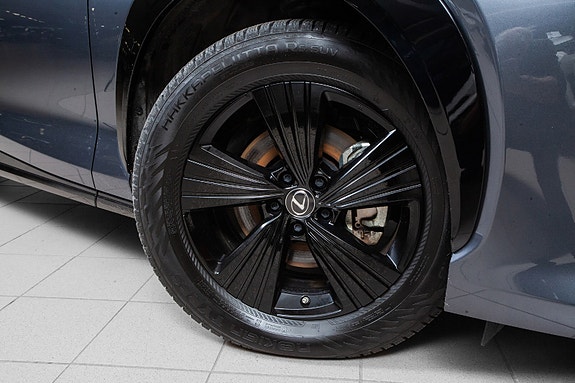 Lexus RZ450e 18 of 19