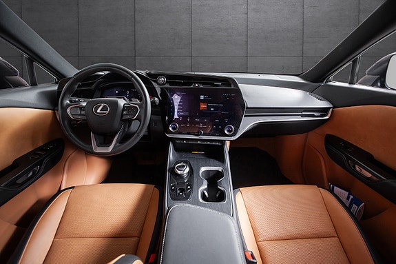 Lexus RZ450e 7 of 19