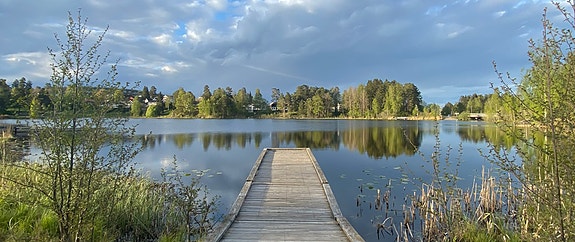 Akershus fylkeskommune, Bekkestua tannklinikk logo