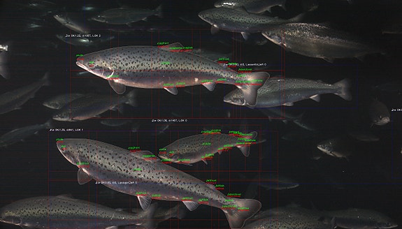 Bilde 1 av 3 i jobbannonse-galleriet