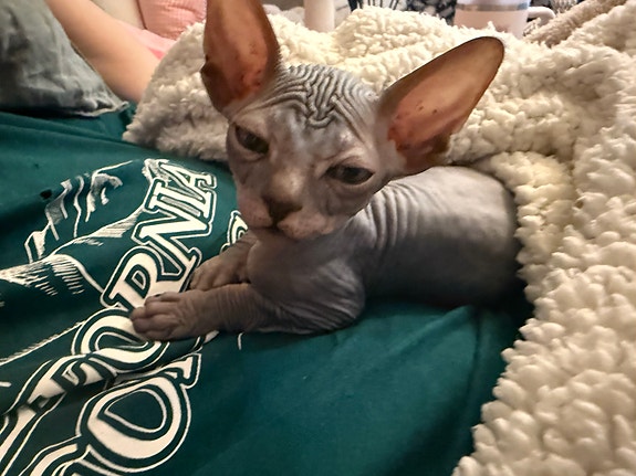 Product image 8 of 10