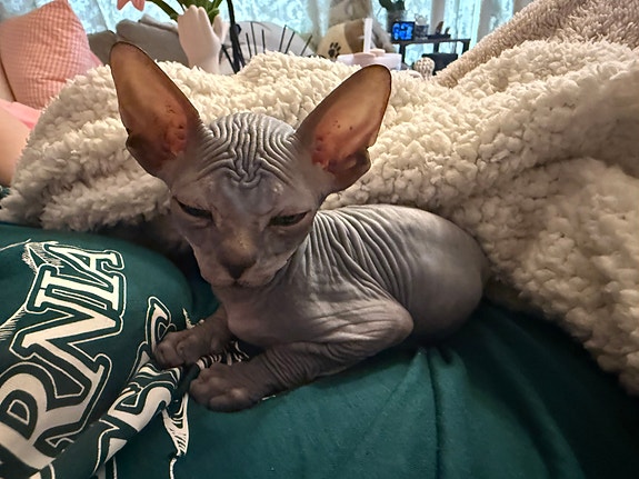 Product image 10 of 10