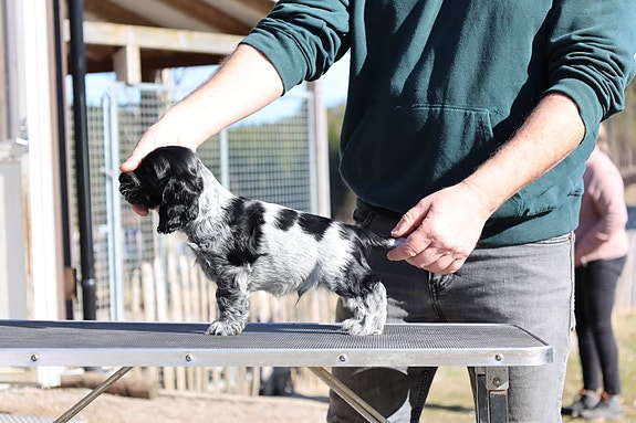 Product image 5 of 9