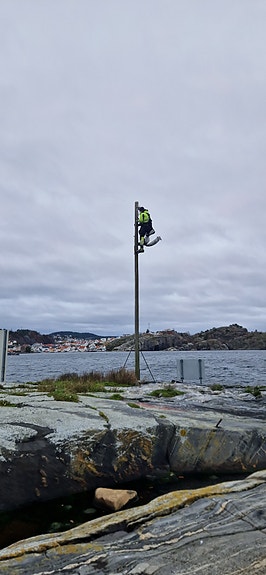 Bilde 2 av 6 i jobbannonse-galleriet