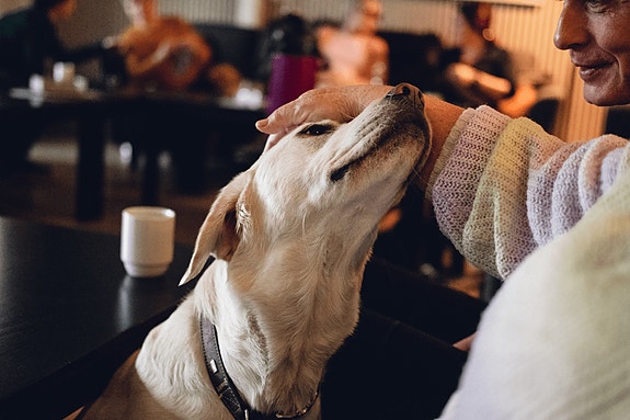 Bilde 1 av 1 i jobbannonse-galleriet