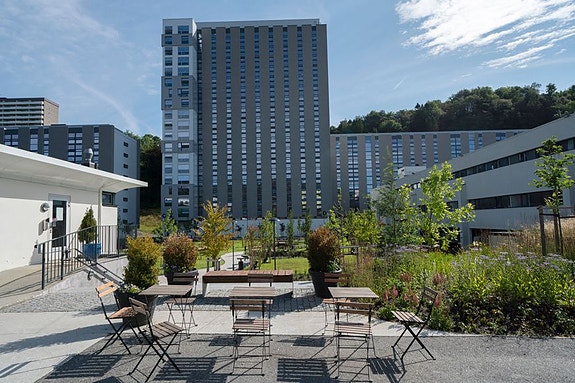 Bilde 1 av 1 i jobbannonse-galleriet