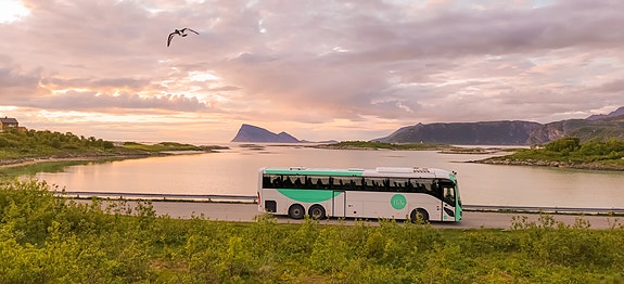 Bilde 1 av 3 i jobbannonse-galleriet