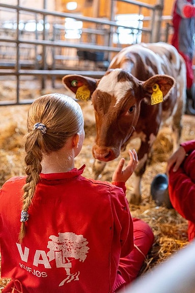 Bilde 3 av 3 i jobbannonse-galleriet