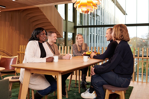 Bilde 5 av 9 i jobbannonse-galleriet