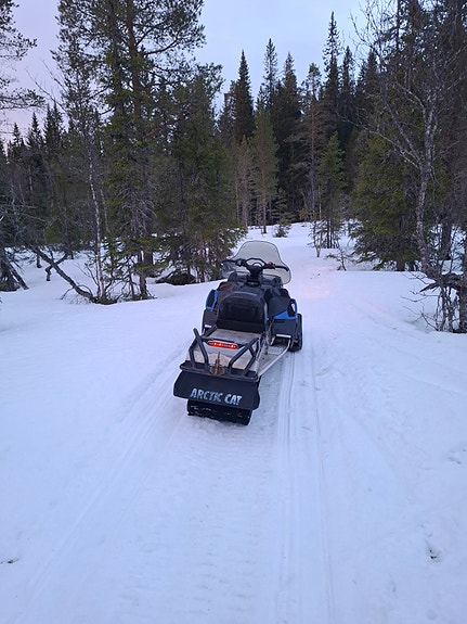Arctic-cat Bearcat 5 of 5