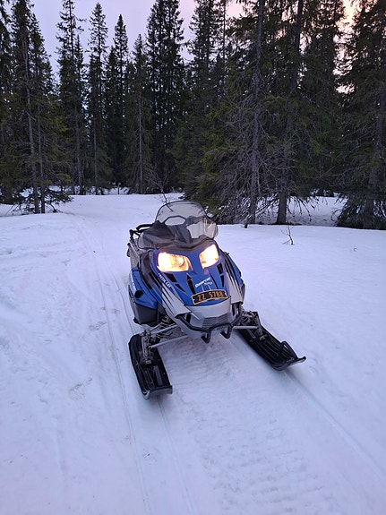 Arctic-cat Bearcat 4 of 5