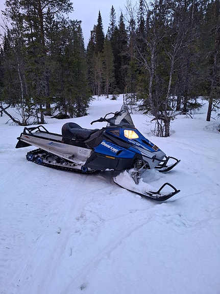 Arctic-cat Bearcat 3 of 5