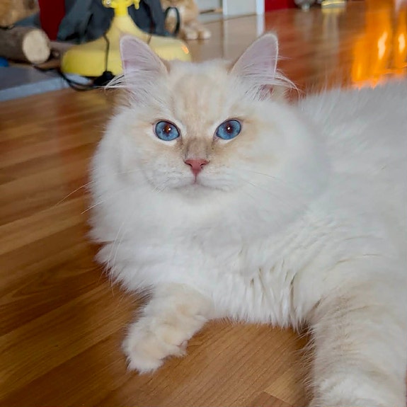 Product image 3 of 8