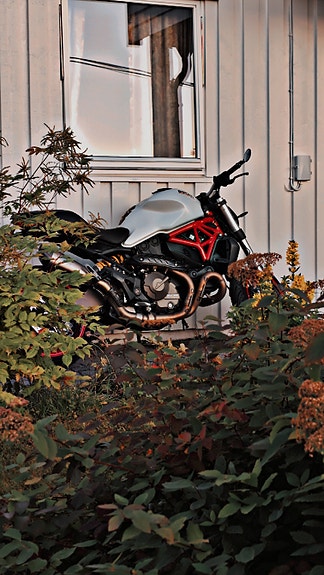 Ducati Monster 821 2 of 5