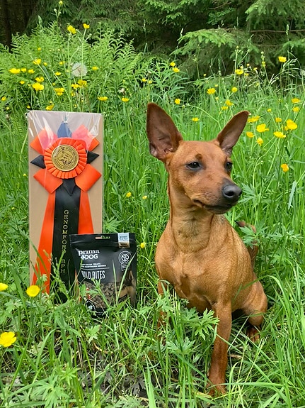 Product image 3 of 10