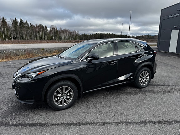 Lexus NX300h 6 of 21