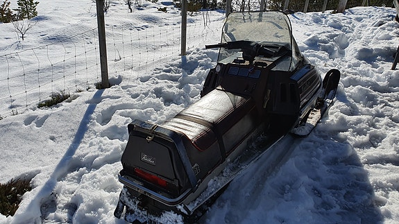 Arctic-cat Panther 8 of 18