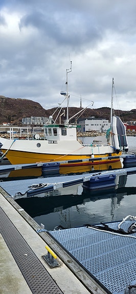 Viksund 31 2 of 5