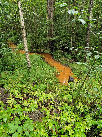 Bilde 1 av 1 i jobbannonse-galleriet