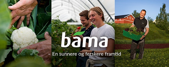 Bilde 1 av 1 i jobbannonse-galleriet