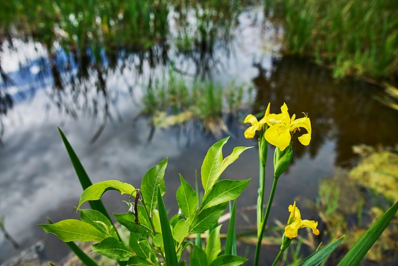 Bilde 7 av 8 i jobbannonse-galleriet