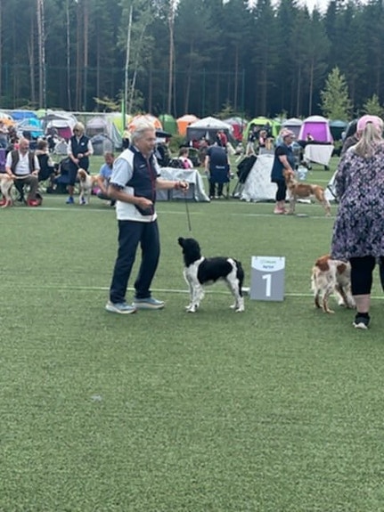 Product image 4 of 9