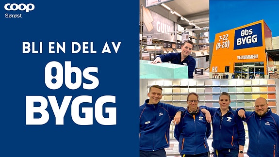 Bilde 1 av 1 i jobbannonse-galleriet