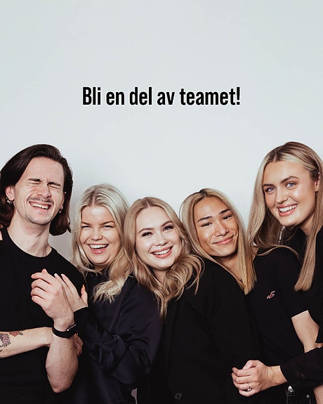 Bilde 1 av 1 i jobbannonse-galleriet