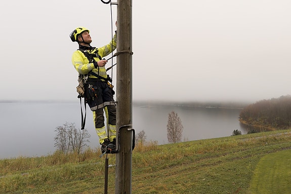 Bilde 1 av 4 i jobbannonse-galleriet