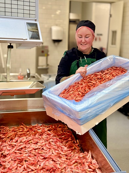 Bilde 2 av 3 i jobbannonse-galleriet