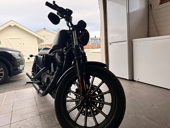 Harley-Davidson XL 883N Iron 3 of 3