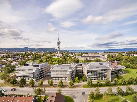 Bilde 1 av 2 i jobbannonse-galleriet