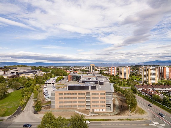 Bilde 2 av 2 i jobbannonse-galleriet