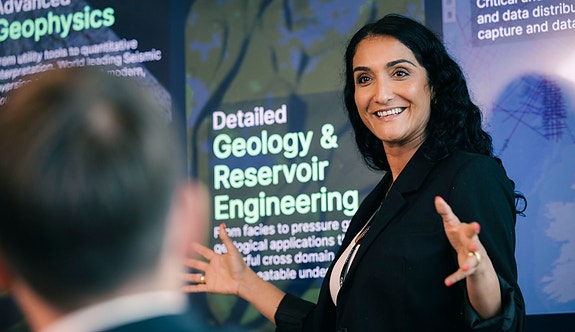 Bilde 2 av 5 i jobbannonse-galleriet