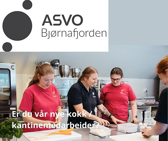 Bilde 1 av 1 i jobbannonse-galleriet