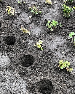 Bilde 2 av 5 i jobbannonse-galleriet