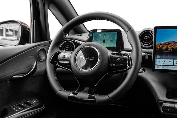 BYD Dolphin 16 of 30