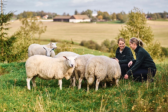Inspektører på jobb