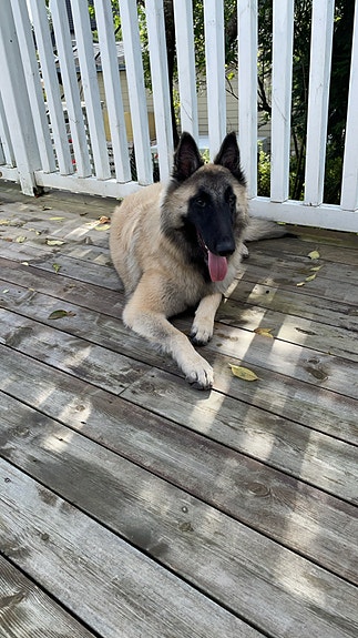 Product image 7 of 10